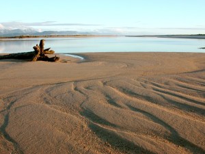 Karamea Estuary