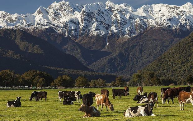 eight_col_337565_crop