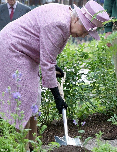 dd64e95a7099afe1e924f84720e3a9cc