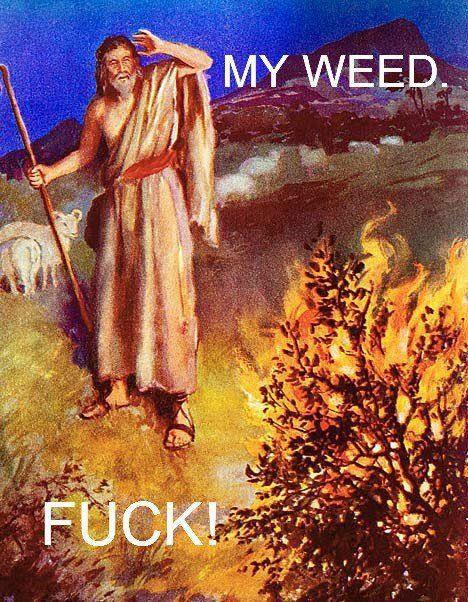 734666_398758433541831_1515060017_n