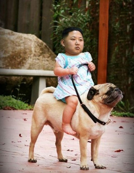 11-funniest-kim-jong-un-photoshop-images1.jpg.pagespeed.ce.nMTJLClteP