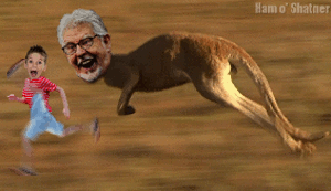 tumblr_mse1n6j3um1rbrydko1_400