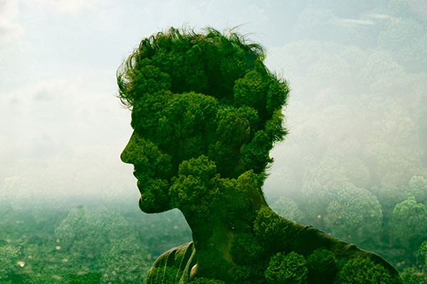 rewildingpodcast-blog