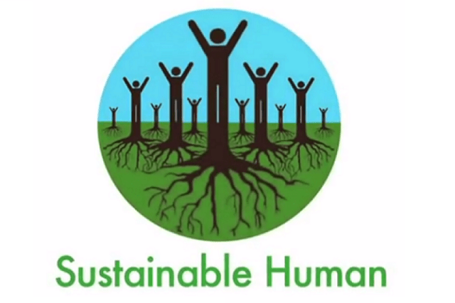 SH-Website-banner-768x512