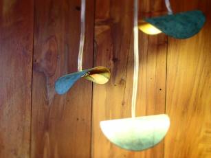 10801883_1565990960313968_744278603077531166_n