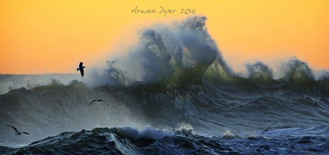 11010576_1021950364491418_3406634487762326707_n