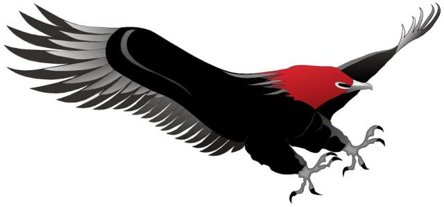 555445_495119540526384_1504534725_n