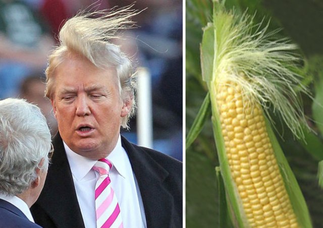 donald-trump-funny-look-alike-20__700