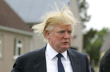 donald-trump-hair