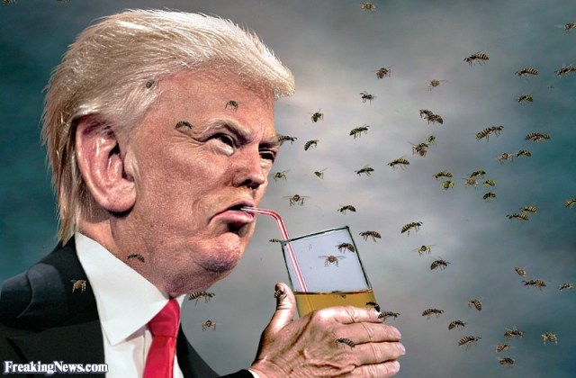 Donald-Trump-Surrounded-by-Bees--125810