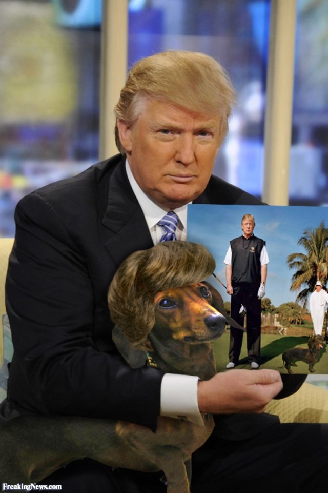 Donald-Trump-with-Dog-with-Matching-Hair--56203