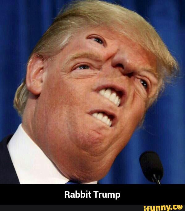 ec7967e6b5b9f5f5275ecc98d4f2cfea21122c6d81ff8b707dbf951c83c02cee_1