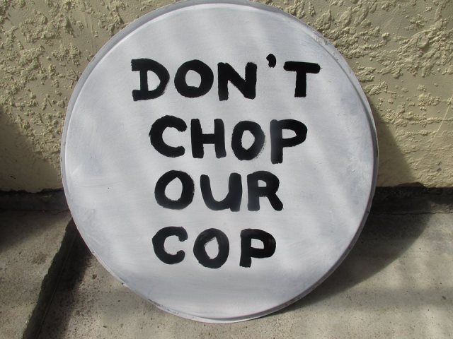 12784345_10154046817222664_375395214_n