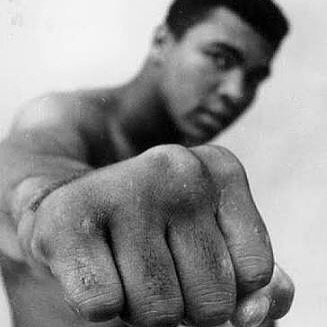 13307393_10209636610462717_2742459760695179159_n