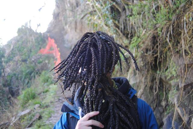 13886450_10154519369235209_8845703134703151878_n