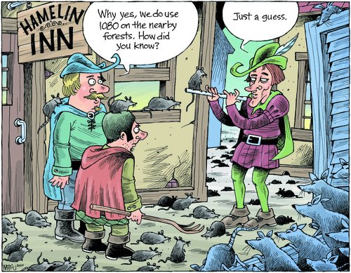 Aerial 1080 Poison Drops Lead to an Explosion in R