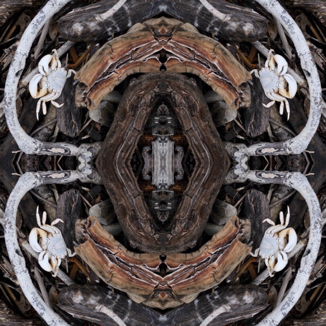 287CF5A6-A10C-4691-B384-5BE8070B3645