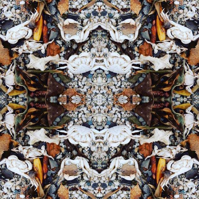 44070695_1933336473370480_7090976011965169664_n