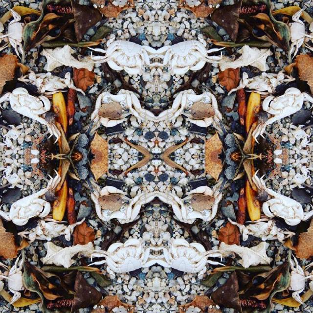 44085535_1933346120036182_489966218405478400_n