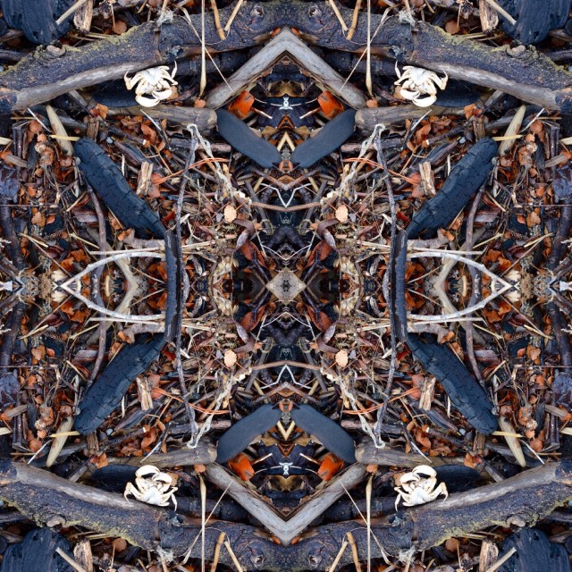 5EE4CC15-ADF8-4A7B-9319-45FE13DA3A32