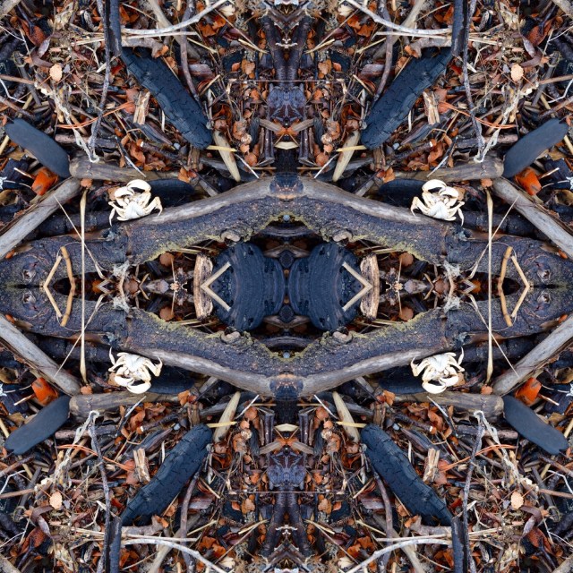 7BD406ED-723C-4C14-B9FB-A890413519DC