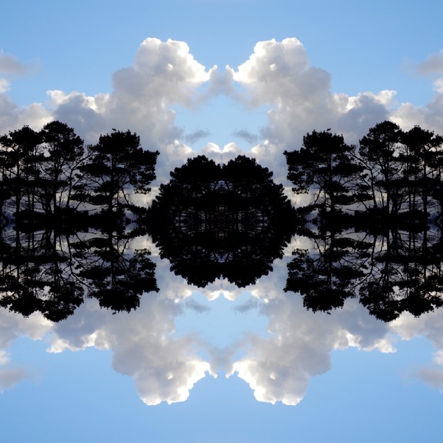 9B4295DD-6A16-4BFF-BB48-A95157BD6A41