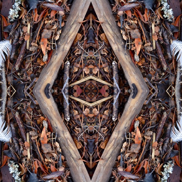 A40EA7F9-9878-47C8-B38E-E12F1A822100