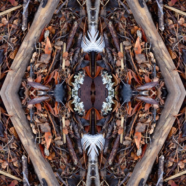 C3E2607B-6C9C-4301-81BE-1C5E70E464D5