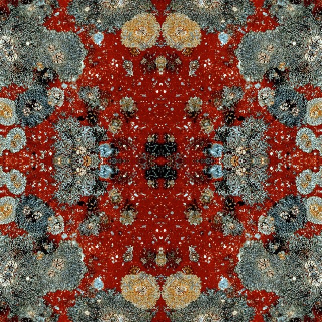 DBBF5E8E-99DF-4577-B16C-553926398B1A